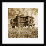 Abandoned Buffalo Sign by Tom Marks