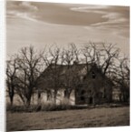 Abandoned House Surrounded by Trees by Tom Marks