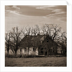 Abandoned House Surrounded by Trees by Tom Marks