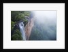 Fog over Fitzroy Falls in Morton National Park by Anonymous