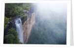 Fog over Fitzroy Falls in Morton National Park by Anonymous