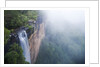 Fog over Fitzroy Falls in Morton National Park by Anonymous