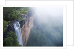 Fog over Fitzroy Falls in Morton National Park by Anonymous