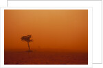Dust storm in the Australian Outback by Anonymous