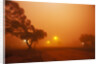 Dust storm in the Australian Outback by Anonymous