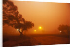 Dust storm in the Australian Outback by Anonymous