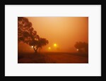Dust storm in the Australian Outback by Anonymous