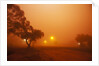 Dust storm in the Australian Outback by Anonymous