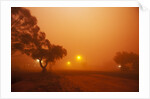 Dust storm in the Australian Outback by Anonymous