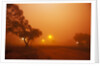 Dust storm in the Australian Outback by Anonymous