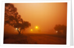 Dust storm in the Australian Outback by Anonymous
