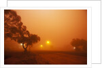 Dust storm in the Australian Outback by Anonymous