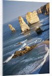 Twelve Apostles Sea Stacks by Anonymous