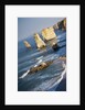 Twelve Apostles Sea Stacks by Anonymous