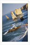 Twelve Apostles Sea Stacks by Anonymous