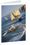 Twelve Apostles Sea Stacks by Anonymous