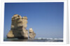 Twelve Apostles sea stacks near Gibsons Steps by Anonymous