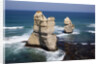 Twelve Apostles sea stacks near Gibsons Steps in Australia by Anonymous