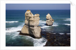 Twelve Apostles sea stacks near Gibsons Steps in Australia by Anonymous