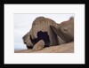 Remarkable Rocks formation in Flinders Chase National Park by Anonymous