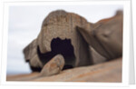 Remarkable Rocks formation in Flinders Chase National Park by Anonymous