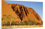 Ayers Rock in the Australian Outback by Anonymous