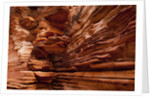 Sandstone rock formation in Kings Canyon at Watarrka National Park by Anonymous