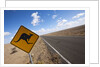 Kangaroo crossing sign in the Australian Outback by Anonymous