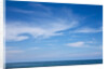 Ocean view at Cape Patton on Great Ocean Road in Australia by Anonymous