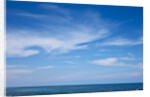 Ocean view at Cape Patton on Great Ocean Road in Australia by Anonymous