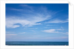 Ocean view at Cape Patton on Great Ocean Road in Australia by Anonymous