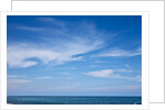Ocean view at Cape Patton on Great Ocean Road in Australia by Anonymous