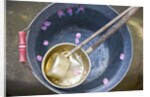Ladling peach blossoms from a water pail by Anonymous
