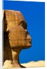 Detail of Great Sphinx at Giza by Anonymous