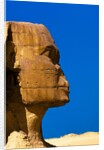 Detail of Great Sphinx at Giza by Anonymous