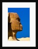 Detail of Great Sphinx at Giza by Anonymous