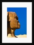 Detail of Great Sphinx at Giza by Anonymous