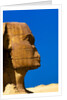 Detail of Great Sphinx at Giza by Anonymous