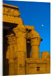 Temple of Horus and Sobek at Kom Ombo by Anonymous