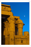 Temple of Horus and Sobek at Kom Ombo by Anonymous