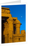 Temple of Horus and Sobek at Kom Ombo by Anonymous
