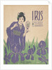 Iris Sheet music cover by Anonymous