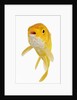 Koi Fish by Anonymous