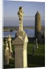 Gravestones at Clonmacnoise monastery by Anonymous