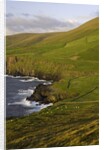 View towards Clougher Head by Anonymous