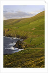 View towards Clougher Head by Anonymous