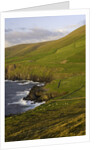 View towards Clougher Head by Anonymous