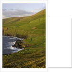 View towards Clougher Head by Anonymous