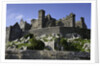 Rock of Cashel by Anonymous