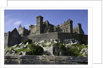 Rock of Cashel by Anonymous